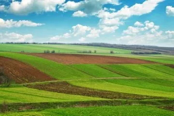 Як отримати землі сільгосппризначення безкоштовно і на платній основі (землях призначення дозволяється) Як отримати землі сільгосппризначення безкоштовно і на платній основі