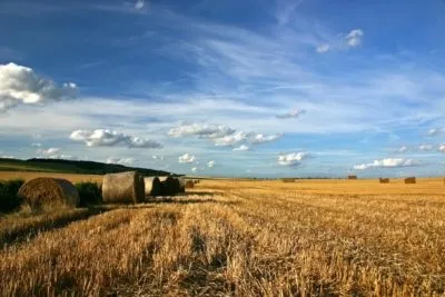 Як отримати землі сільгосппризначення безкоштовно порядок надання земельних ділянок (безкоштовно) Як отримати землі сільгосппризначення безкоштовно порядок надання земельних ділянок