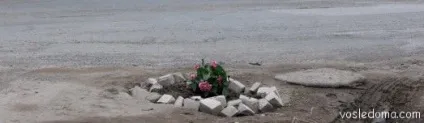 Як посадити багаторічники, біля будинку (клумби) Як посадити багаторічники, біля будинку