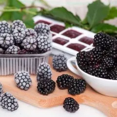 Як правильно заморозити яблука (правильно) Як правильно заморозити яблука