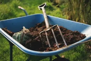 Як приготувати добриво з курячого посліду (добриво) Як приготувати добриво з курячого посліду