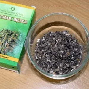 Як застосовувати червону щітку при мастопатії, мій знахар (застосування червоної щітки) Як застосовувати червону щітку при мастопатії, мій знахар