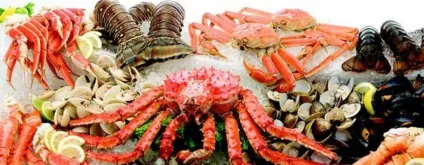 Як приготувати заморожений морський коктейль - кращі рецепти (морської) Як приготувати заморожений морський коктейль - кращі рецепти