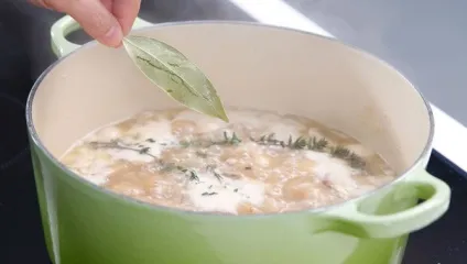 Як приготувати вершковий суп з куркою і грибами (грибами) Як приготувати вершковий суп з куркою і грибами