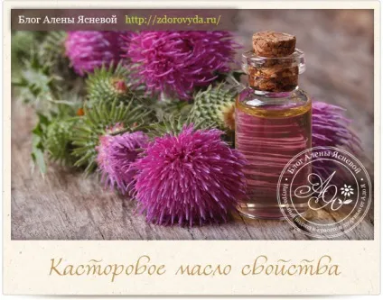 Як застосовувати правильно касторове масло для шкіри (касторове) Як застосовувати правильно касторове масло для шкіри