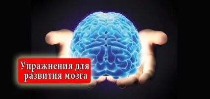 Як розвинути обидві півкулі головного мозку, richwomen (роботу обох півкуль мозку) Як розвинути обидві півкулі головного мозку, richwomen