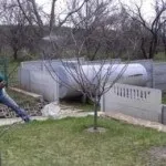 Обробка смородини навесні від хвороб і шкідників (смородини) Обробка смородини навесні від хвороб і шкідників