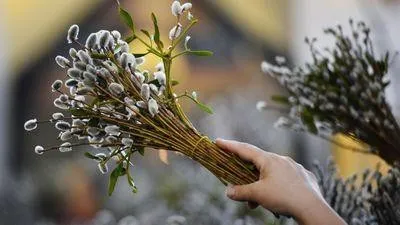 Оберіг з верби значення і властивості (обереги Вербну неділю) Оберіг з верби значення і властивості