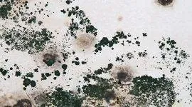 Як зробити генеральне прибирання квартири, покрокова інструкція, відео