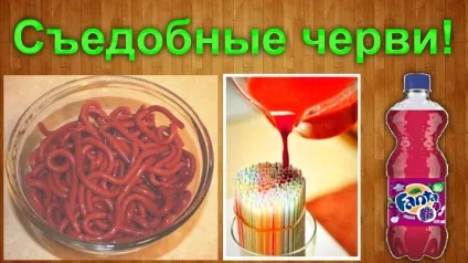 Як зробити черв'ячки в домашніх умовах - їстівні черви приготування в домашніх умовах