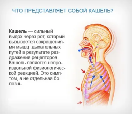 Як зробити дирижабль в домашніх умовах (кілька днів початку) Як зробити дирижабль в домашніх умовах