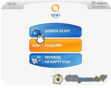 Як зробити переклад на гаманець ківі фото (ківі) Як зробити переклад на гаманець ківі фото