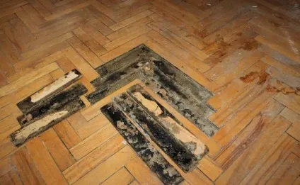 Як зробити ремонт паркету своїми руками і чи можна його відновити без розтину поради, як