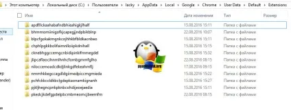Як зберегти розширення google chrome на комп'ютер, настройка серверів windows і linux (зберегти) Як зберегти розширення google chrome на комп'ютер, настройка серверів windows і linux