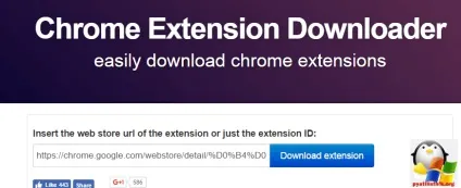 Як зберегти розширення google chrome на комп'ютер, настройка серверів windows і linux (комп'ютер) Як зберегти розширення google chrome на комп'ютер, настройка серверів windows і linux