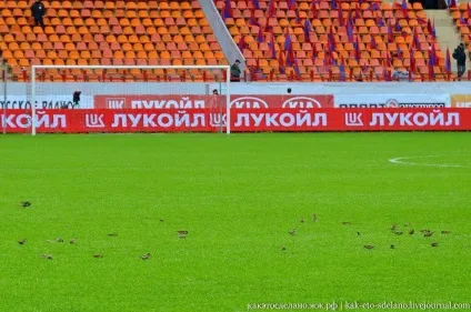 Як знімають футбольний матч