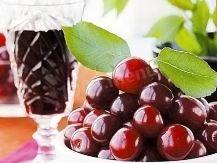 Як зробити вино з черешні простий рецепт для будинку (будинку) Як зробити вино з черешні простий рецепт для будинку