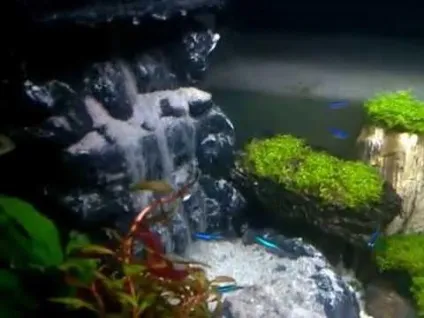 Як зробити водоспад в акваріумі своїми руками (водоспад) Як зробити водоспад в акваріумі своїми руками