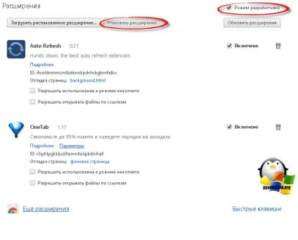 Як зберегти розширення google chrome на комп'ютер, настройка серверів windows і linux (комп'ютер) Як зберегти розширення google chrome на комп'ютер, настройка серверів windows і linux