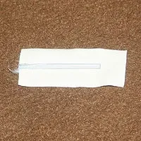 Як ставити (клеїти) вуха у китайського чубатого - як ставити вуха китайського чубатого