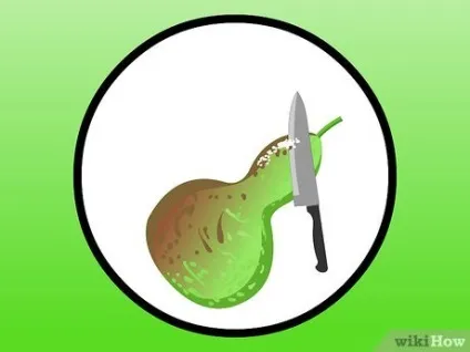 Як сушити гарбуза