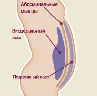 Як прибрати внутрішній жир - кращі вправи, що спалюють внутрішній жир (як спалити внутрішній жир) Як прибрати внутрішній жир - кращі вправи, що спалюють внутрішній жир