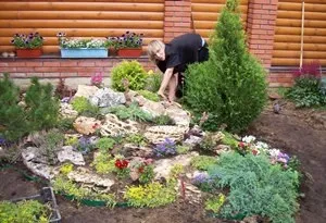 Як прикрасити свій сад альпінарієм поради та фотографії (гірку своїми руками) Як прикрасити свій сад альпінарієм поради та фотографії