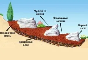 Як прикрасити свій сад альпінарієм поради та фотографії (пристрій альпійської гірки своїми руками) Як прикрасити свій сад альпінарієм поради та фотографії