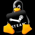 Як встановити steam в linux
