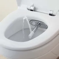 Як вибрати біде
