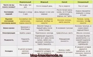 Як дізнатися тип волосся - поради по визначенню вашого типу волосся (дізнатися) Як дізнатися тип волосся - поради по визначенню вашого типу волосся