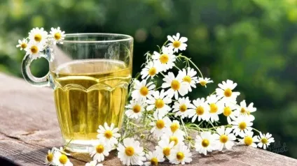 Як доглядати за зубами з металокераміки, знімними і незнімними протезами (знімними) Як доглядати за зубами з металокераміки, знімними і незнімними протезами