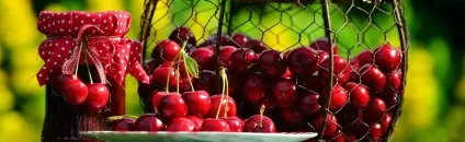Як заготовити червону смородину на зиму (смородину) Як заготовити червону смородину на зиму