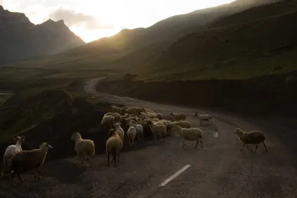 Як я в дагестан ходив