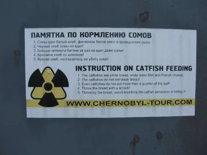 Як я потрапив в зону
