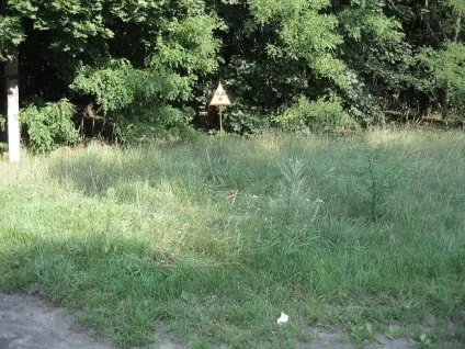 Як я потрапив в зону