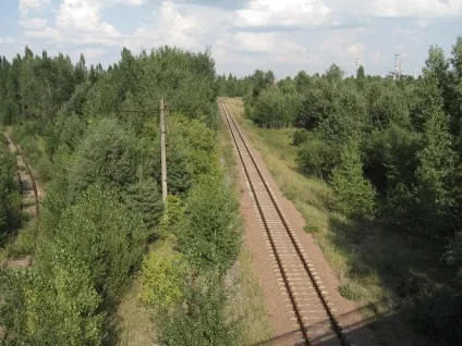 Як я потрапив в зону