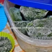 Як заморозити м'яту на зиму для чаю (м'яту) Як заморозити м'яту на зиму для чаю