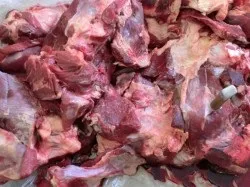 Як зарізати корову чи бика (як зарізати бика) Як зарізати корову чи бика