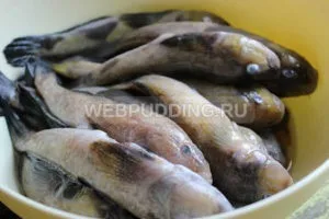 Як засолити бички - рецепт з фото, як приготувати на (рецепт) Як засолити бички - рецепт з фото, як приготувати на