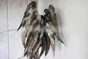 Як засолити бички - рецепт з фото, як приготувати на (рецепт) Як засолити бички - рецепт з фото, як приготувати на