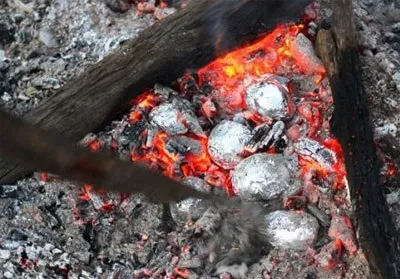 Як запекти картоплю в багатті (вогнищі) Як запекти картоплю в багатті
