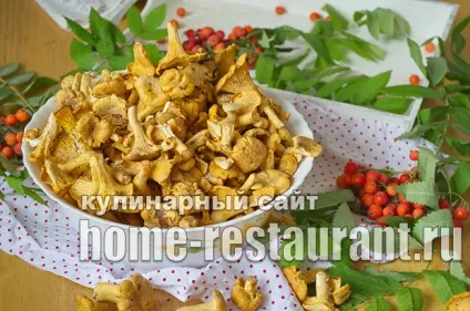 Як заморозити лисички на зиму покрокова інструкція з фото (зиму) Як заморозити лисички на зиму покрокова інструкція з фото