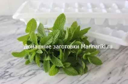Як заморозити м'яту на зиму для чаю (зиму) Як заморозити м'яту на зиму для чаю