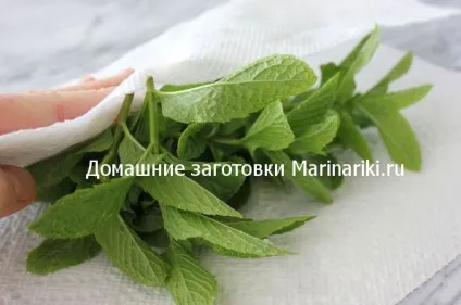 Як заморозити м'яту на зиму для чаю (заморозити) Як заморозити м'яту на зиму для чаю