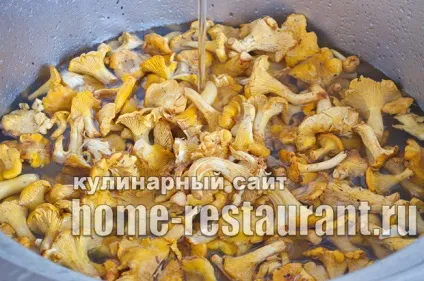 Як заморозити лисички на зиму покрокова інструкція з фото (заморозити лисички зиму) Як заморозити лисички на зиму покрокова інструкція з фото