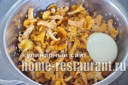 Як заморозити лисички на зиму покрокова інструкція з фото (зиму) Як заморозити лисички на зиму покрокова інструкція з фото