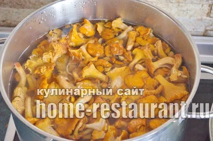 Як заморозити лисички на зиму покрокова інструкція з фото (заморозити лисички зиму) Як заморозити лисички на зиму покрокова інструкція з фото