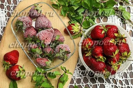 Як заморозити полуницю на зиму - три способи заморозки (зиму) Як заморозити полуницю на зиму - три способи заморозки