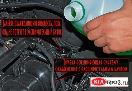 Як замінити охолоджуючу рідину в кіа ріо-3 (ріо-3) Як замінити охолоджуючу рідину в кіа ріо-3